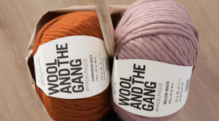 wool & the gang chez le lyon qui tricote